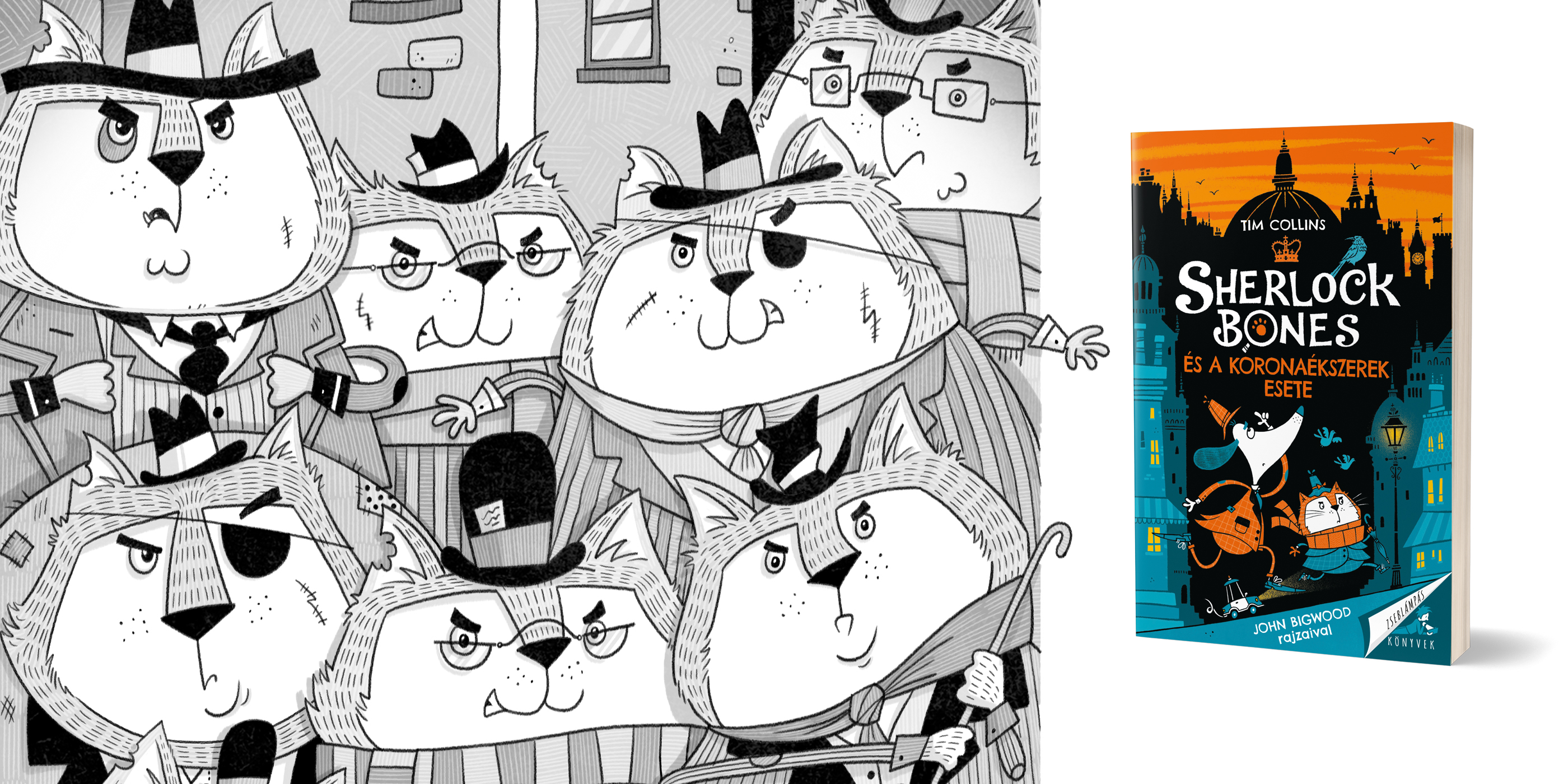 sherlock_bones_blogcover.jpeg